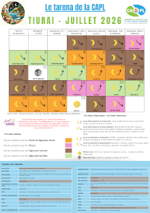 20260623_capl-tar07.png