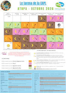 20260923_capl-tar10.png