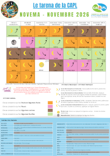 20261023_capl-tar11.png